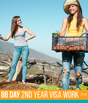 2nd Year Visa Work